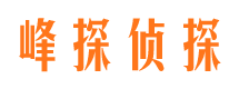 舞阳商务调查